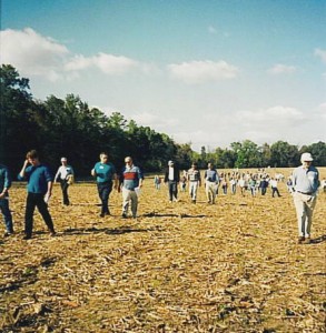 Glendale Cornfield