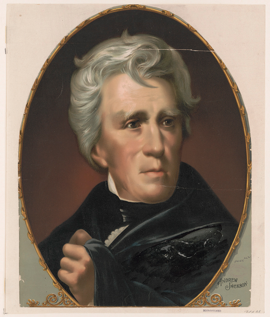 11 Interesting Things You Might Not Know about Andrew Jackson – Blue and  Gray Education Society